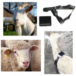 GPS tracker pre ovce a kozy – Solárne dobíjanie, s GPS a WiFi lokalizáciou